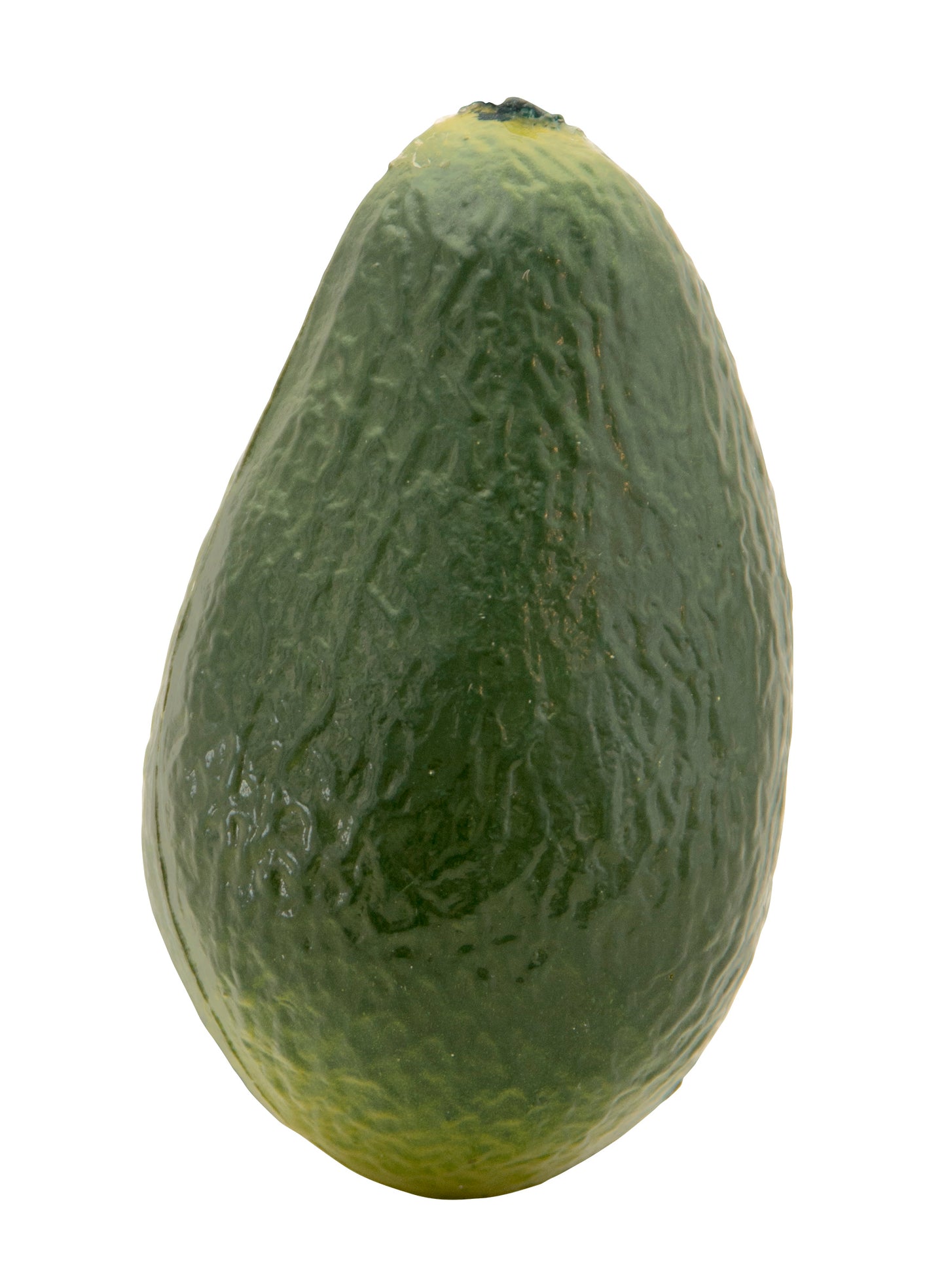 Rhythm Tech RT2055 Fruit. Avacado