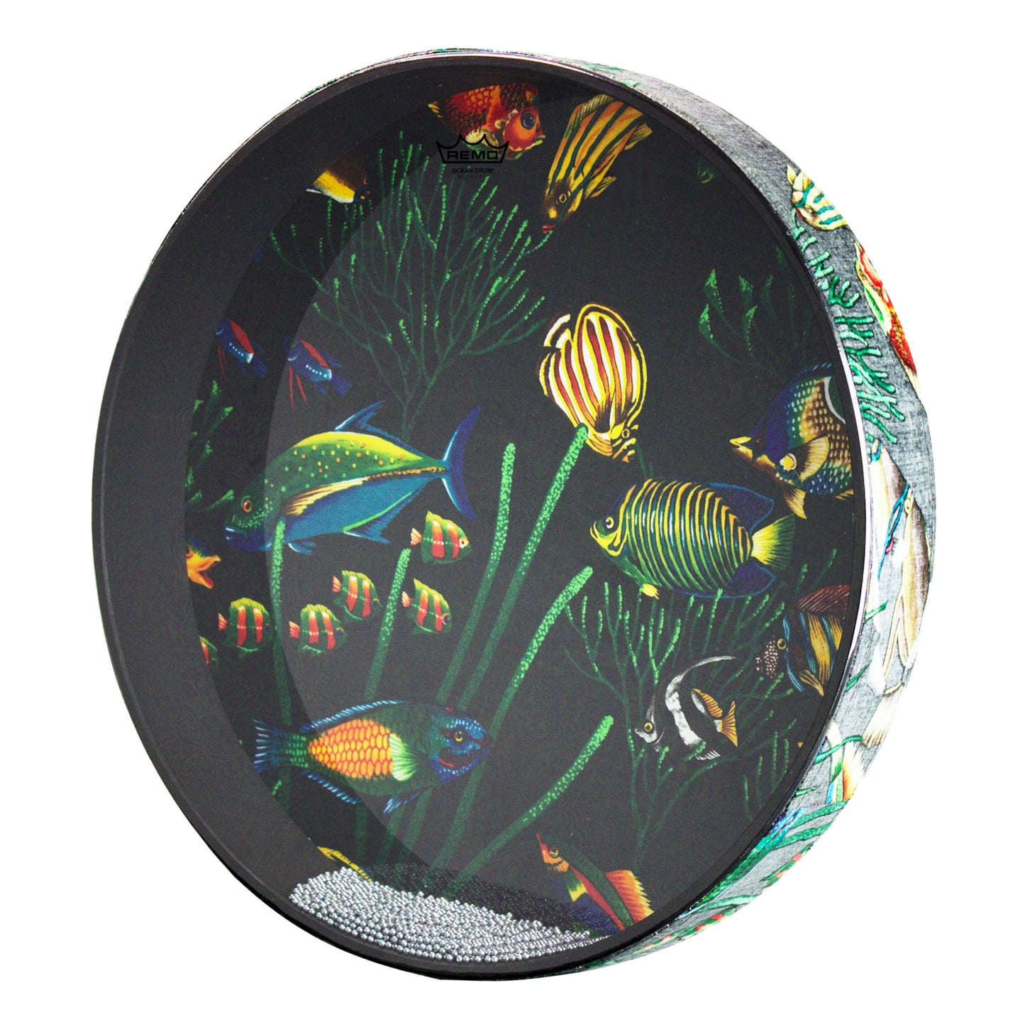 Remo ET-0216-10 Ocean Drum. Fish Graphic 16"