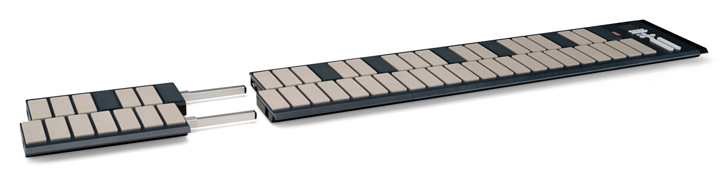 MALLETSTATION EM PRO 1.0 OCTAVE EXPANSION MODULE